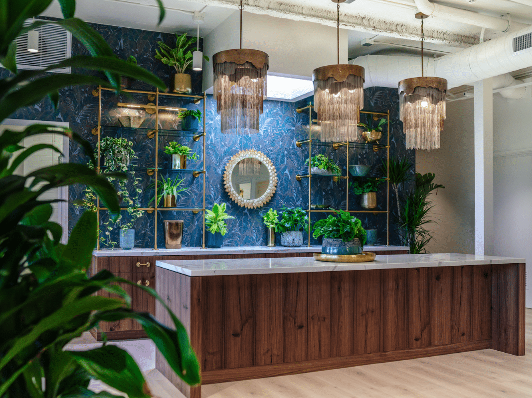 selah center carlsbad