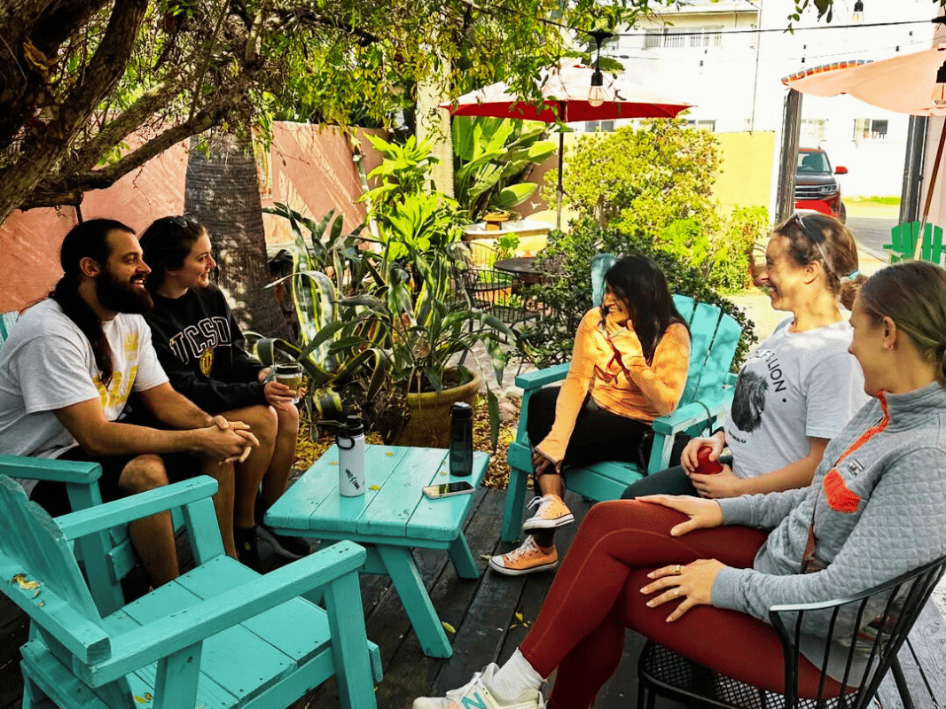 wolf + lion san diego