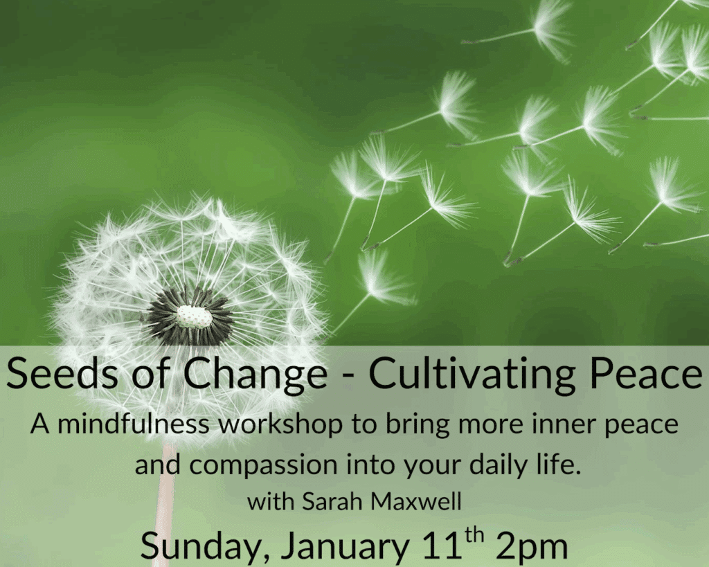 Seeds of Change - Cultivating Peace Workshop