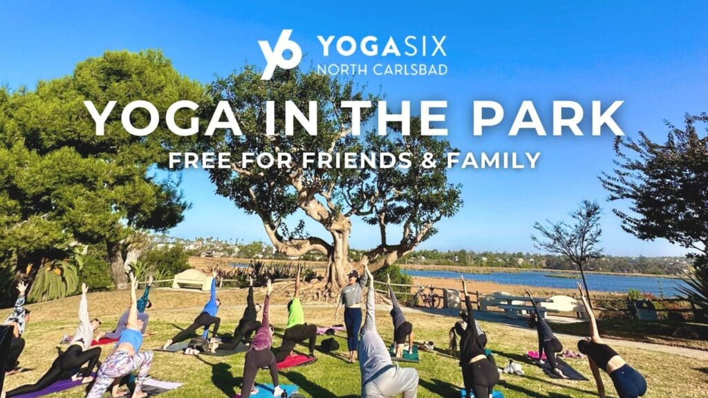 Yoga in the Park