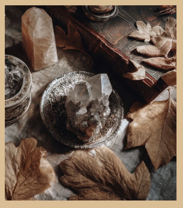 February Witchy Workshop: Beetle Pinning Class