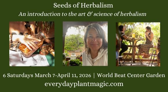 Seeds of Herbalism: An Introduction to the Art and Science of Herbalism