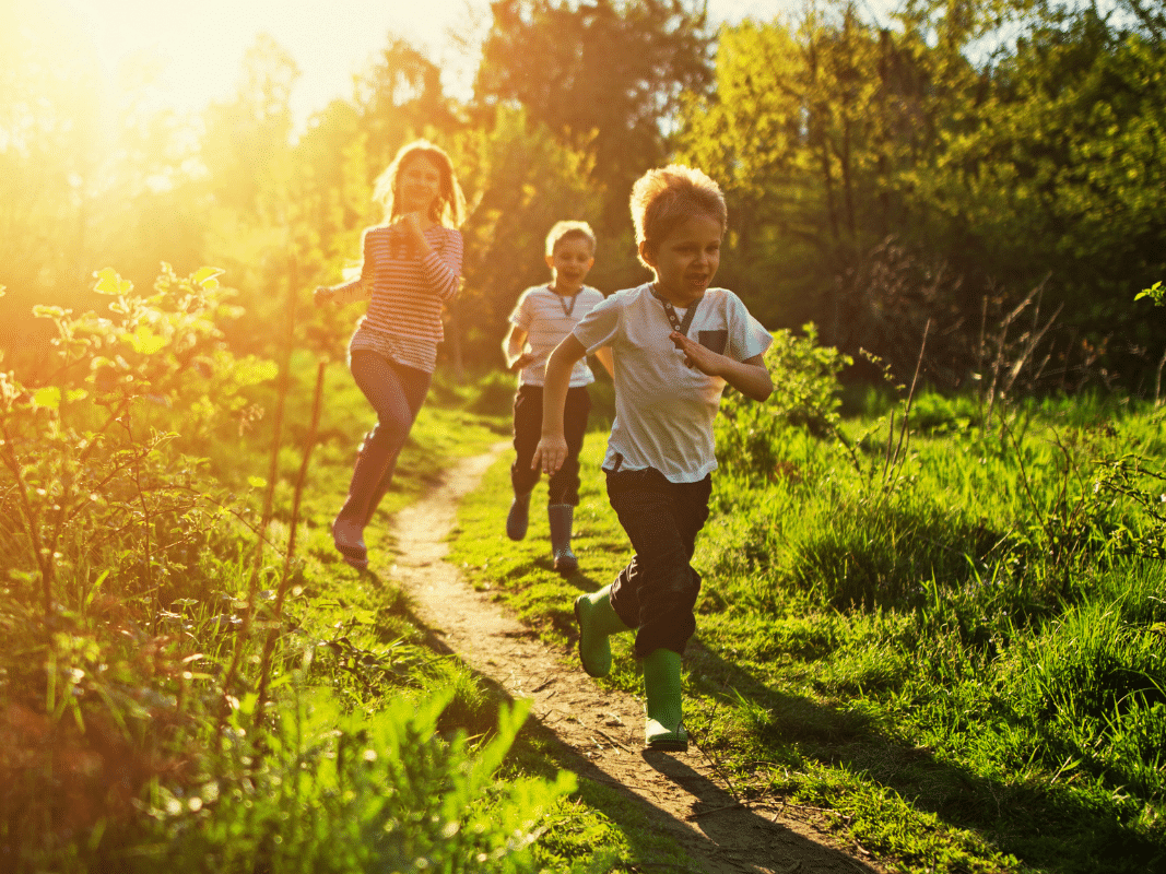 deer park monastery thich nhat hanh school of interbeing