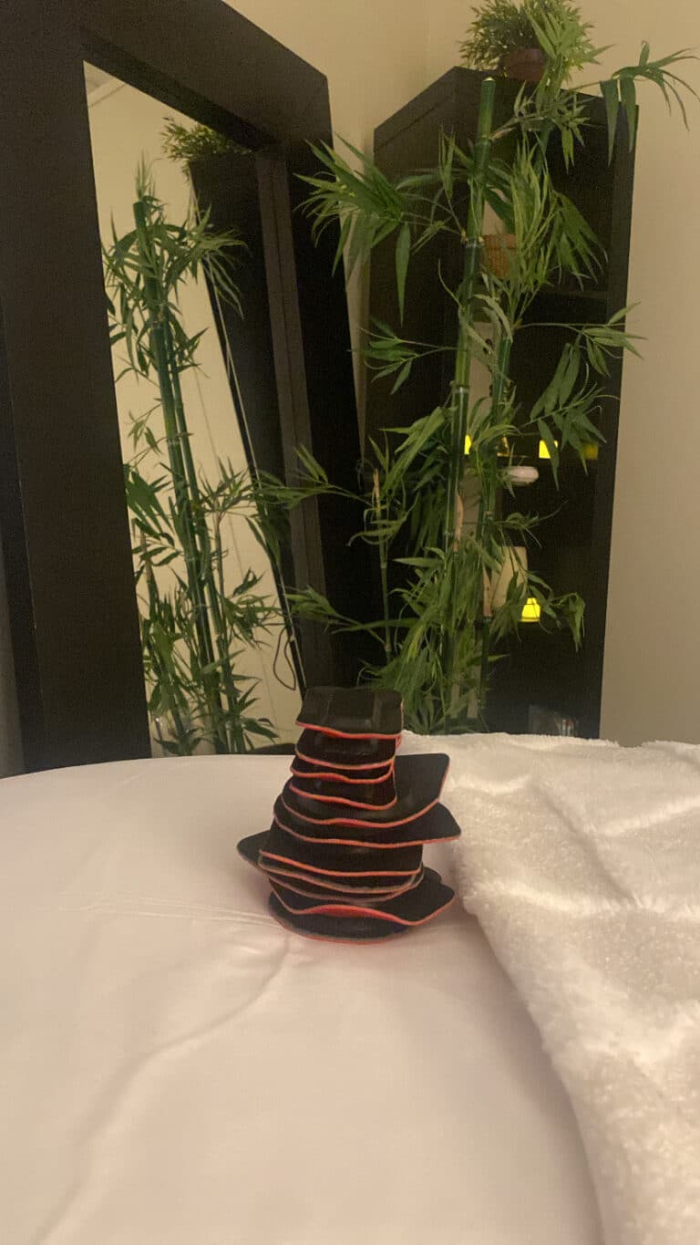 1E4143FA 372C 4CA1 A91B 6BE35F7A4337 1 768x1365