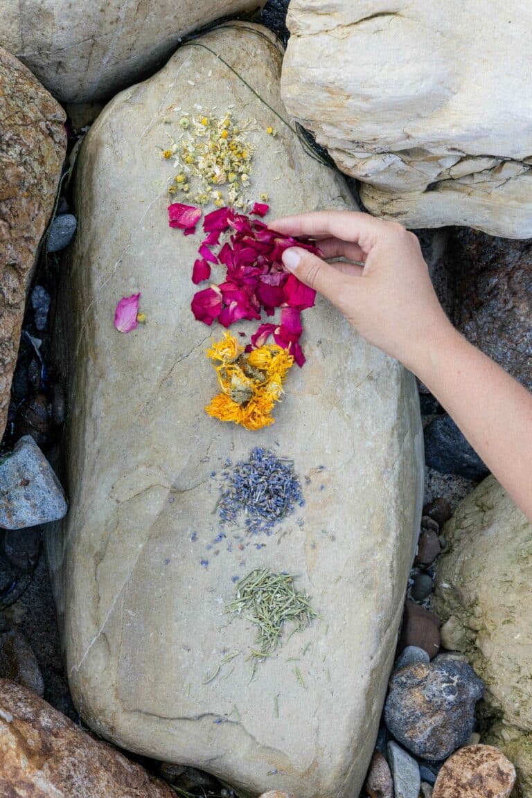 AP8A9538 copy 768x1152