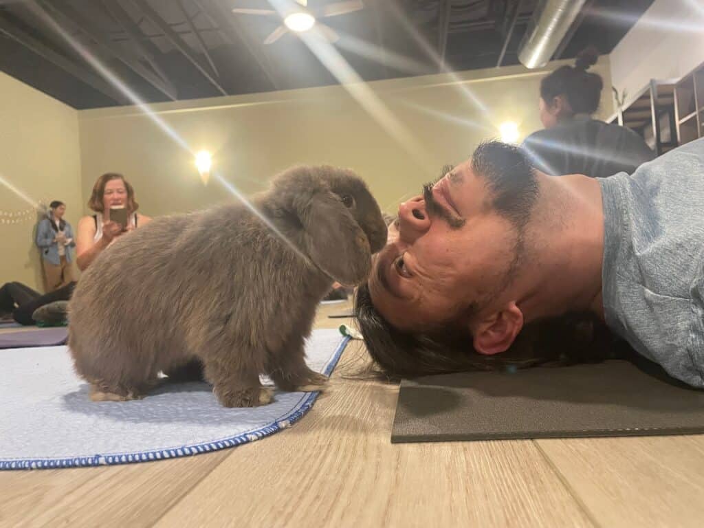 Bunny Yoga! 🐰 Supporting the San Diego House Rabbit Society