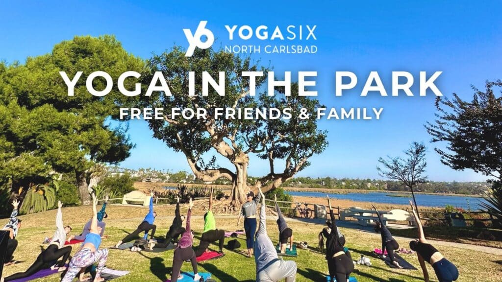 Yoga in the Park - FREE for friends & family