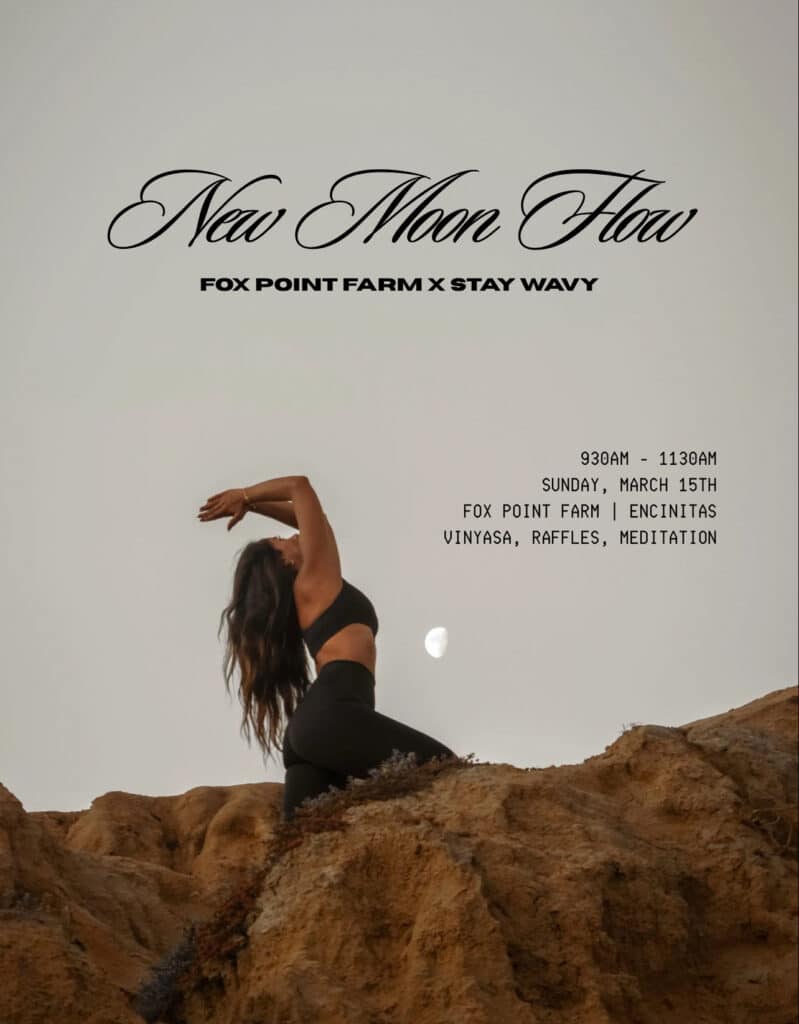 New Moon Flow