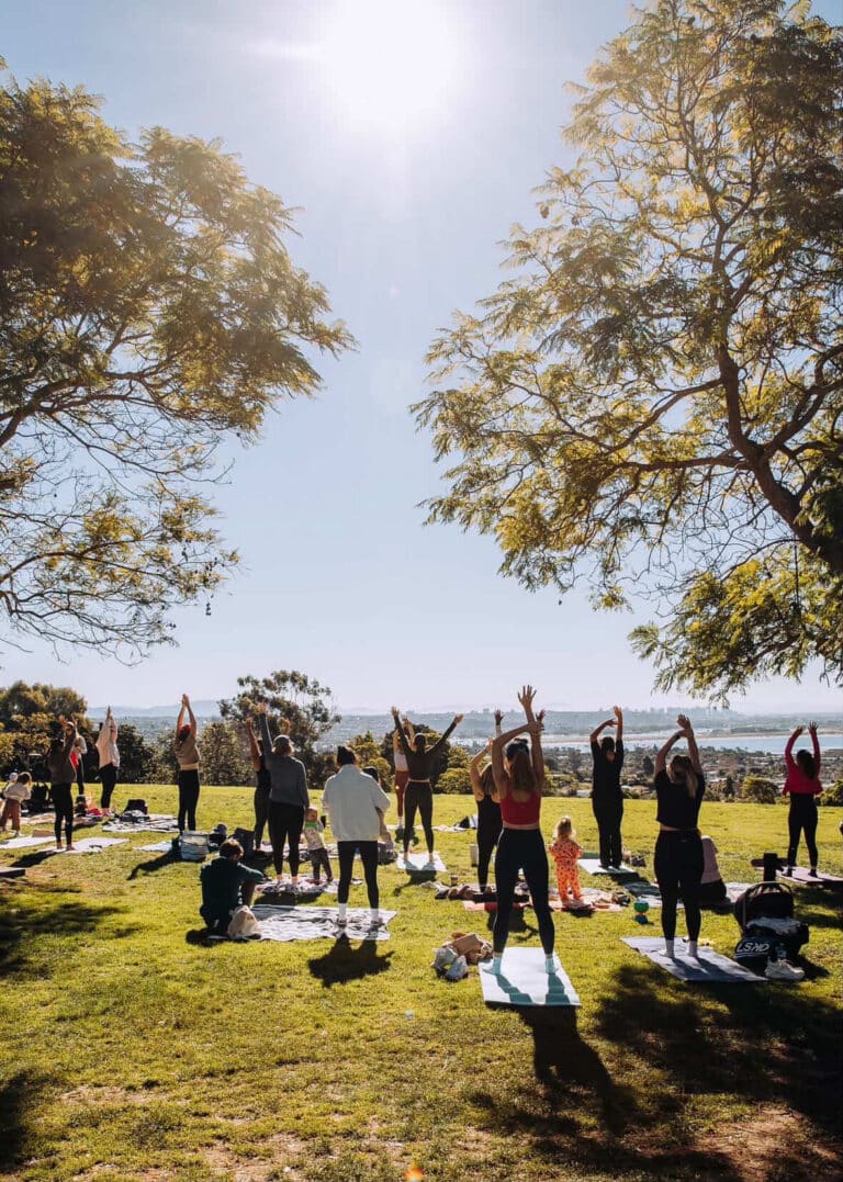 EE2420C0 D3E6 49D4 8F7F A6B47982E6FA 768x1077