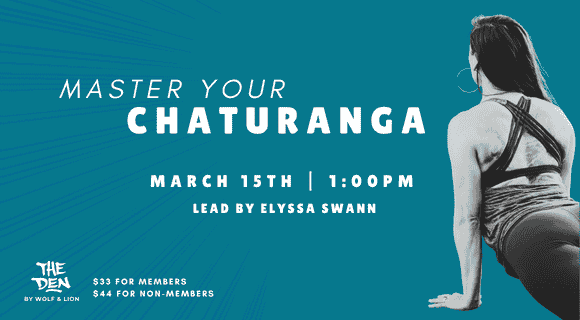 Master Your Chaturanga