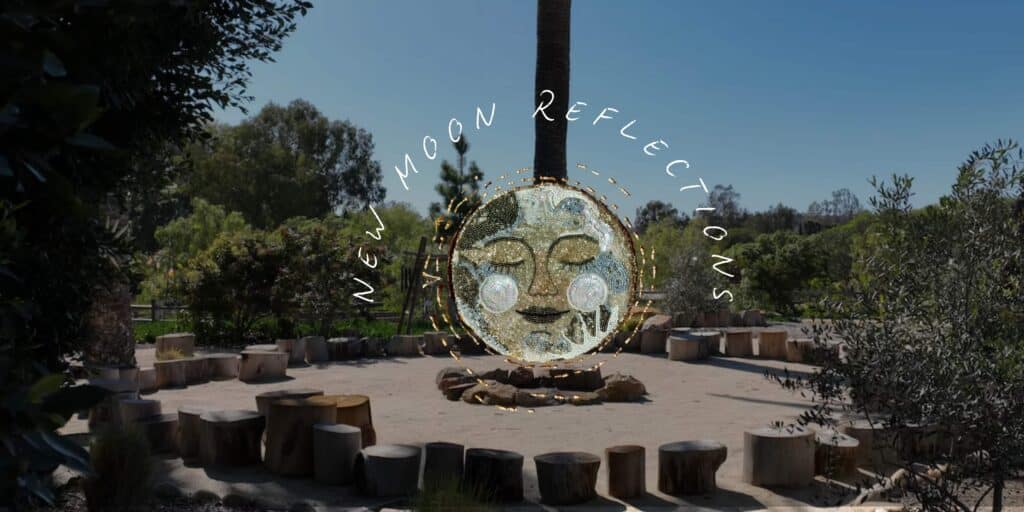 New Moon Reflections: Back to the Basics at a Private Horse Ranch
