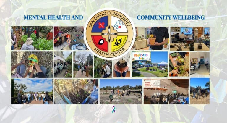 website picture 768x416