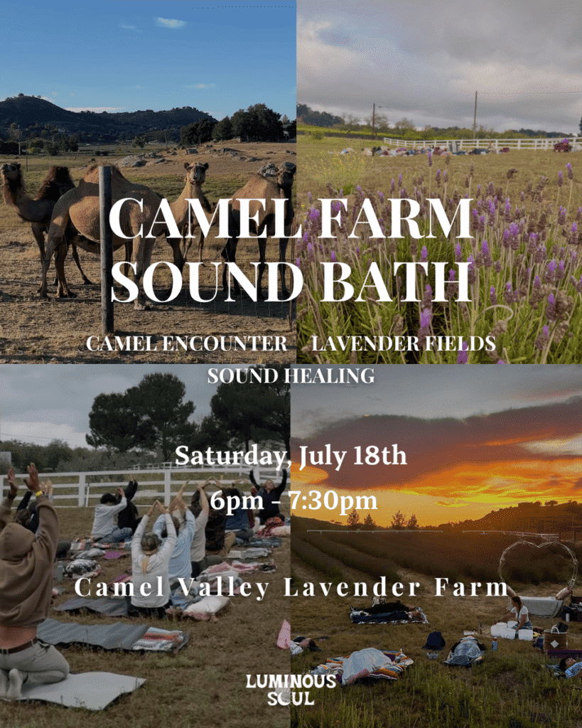 Camel Farm Sound Bath