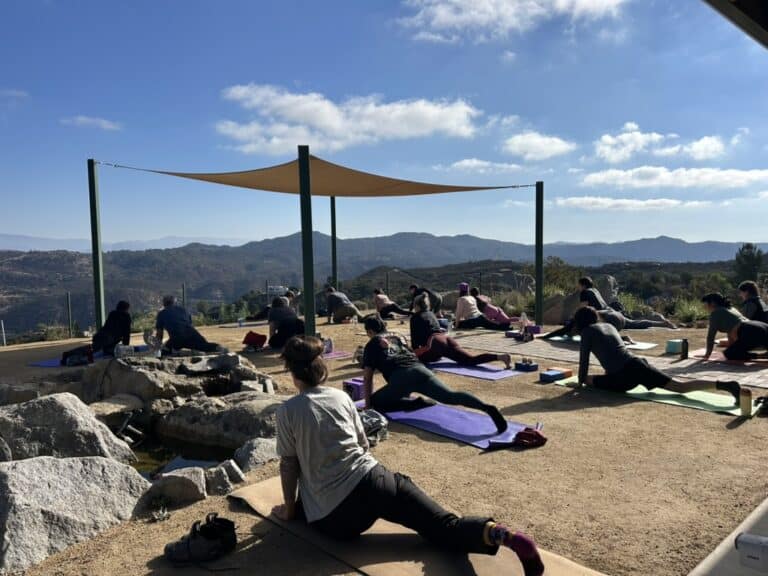 YOGA2 1 768x576