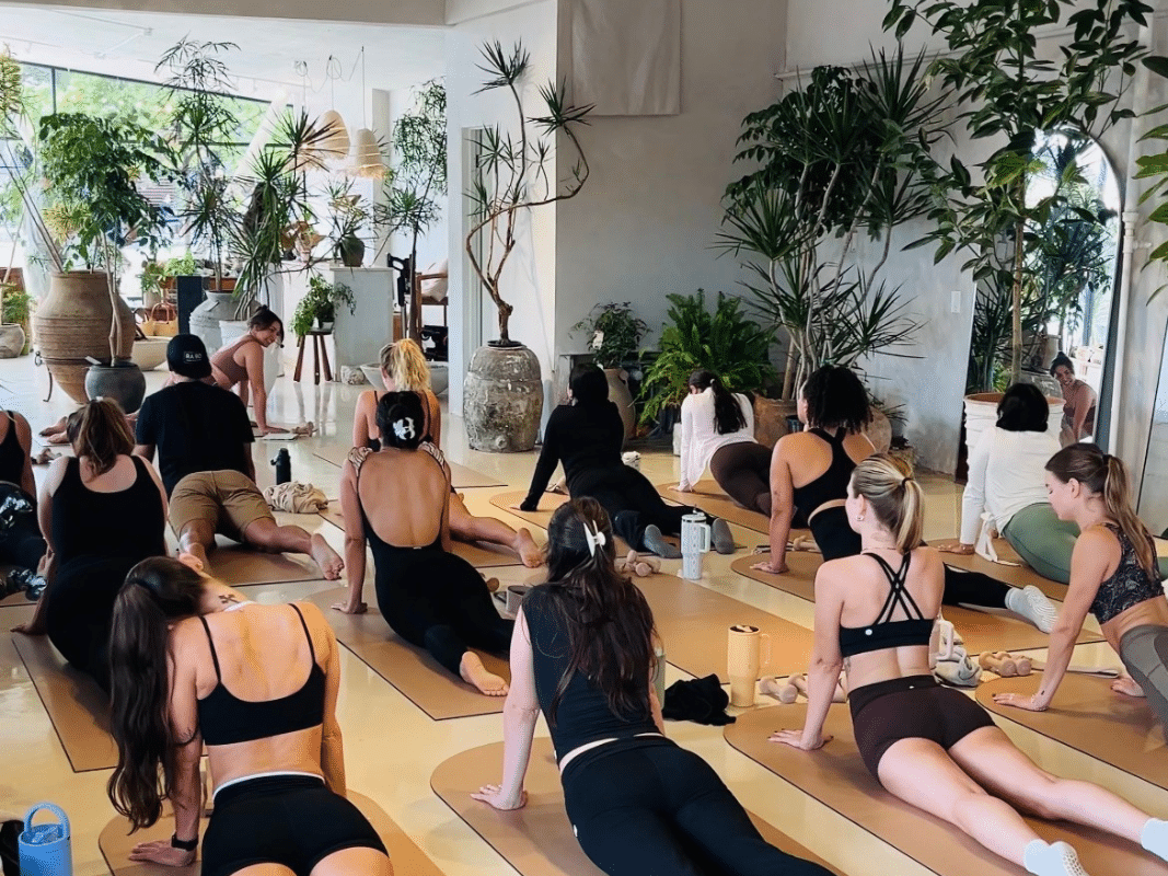pilates planted studio la jolla