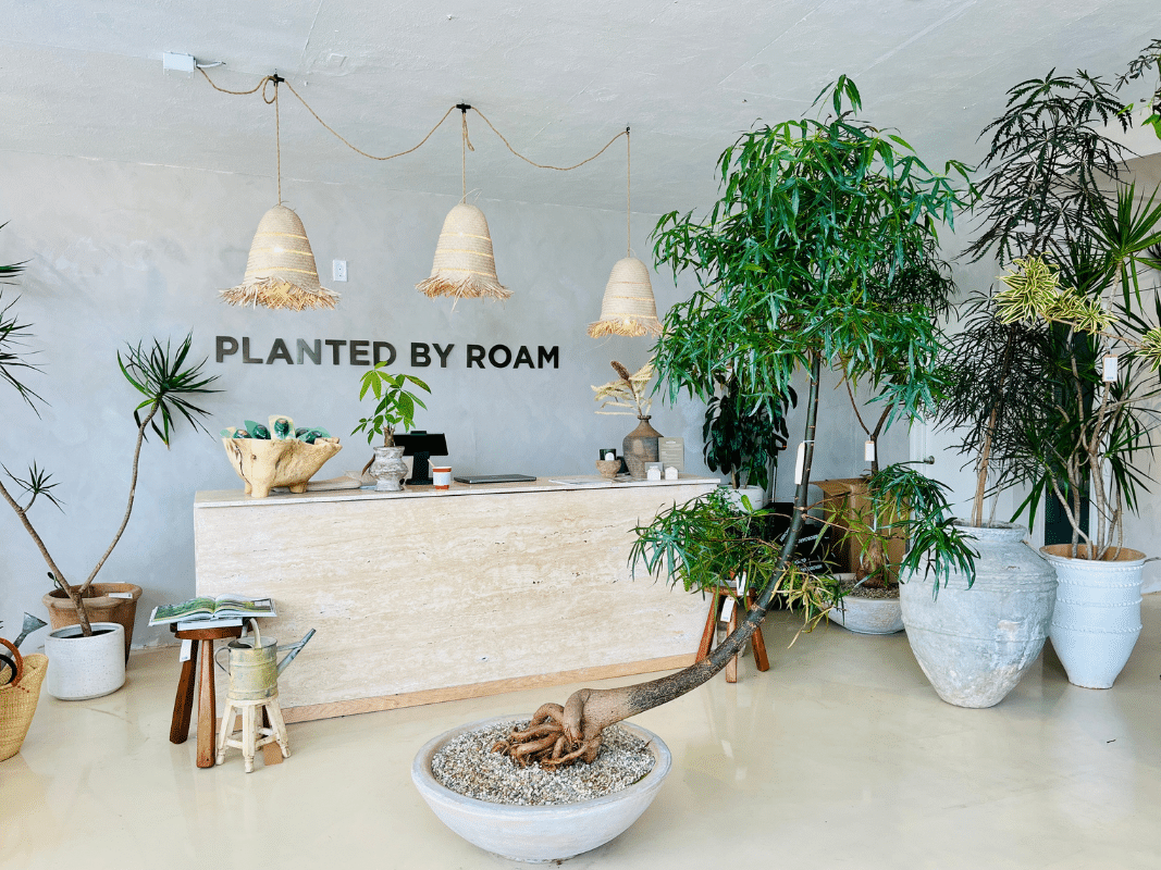 planted by roam la jolla