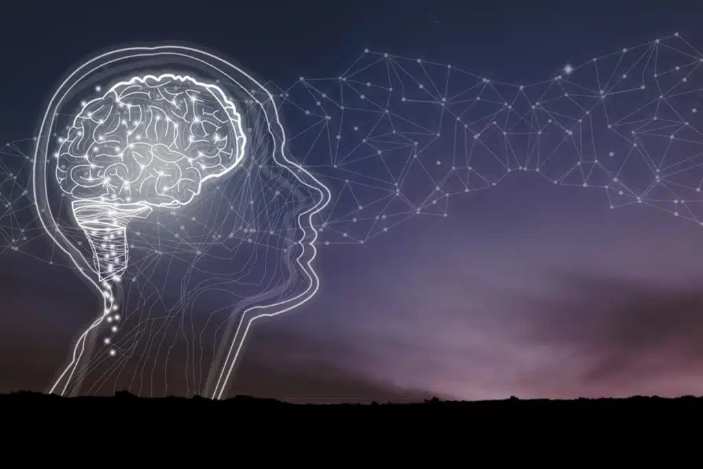 Brain On Yoga - CEU & YTT