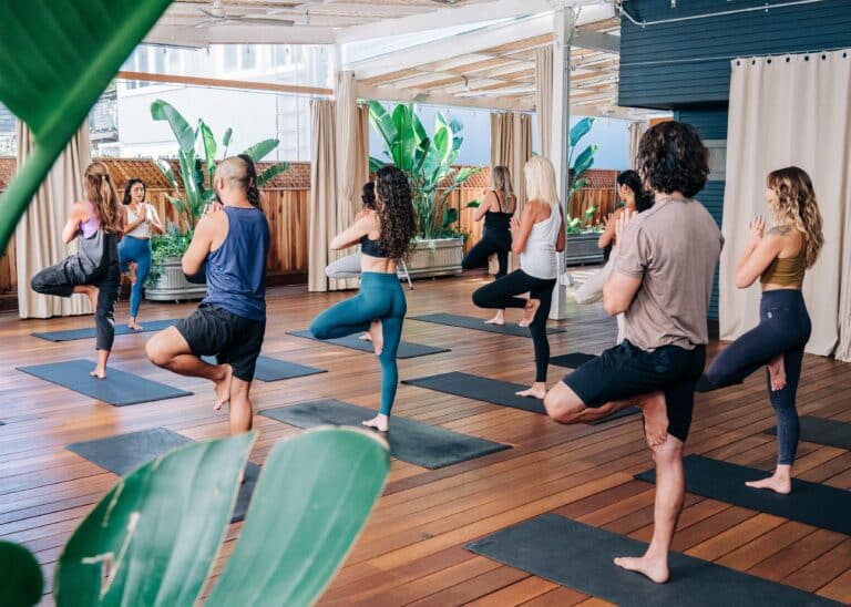 Yoga Deck2 768x548