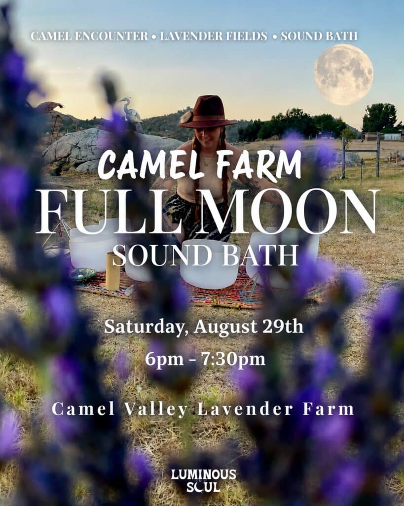 Camel Farm Full Moon Sound Bath