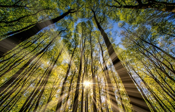 The Inner Silence