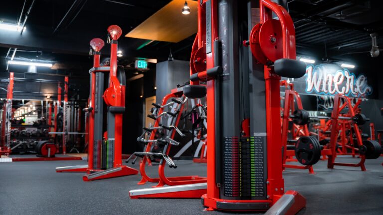 SMTF gym 2 under2mb 768x432