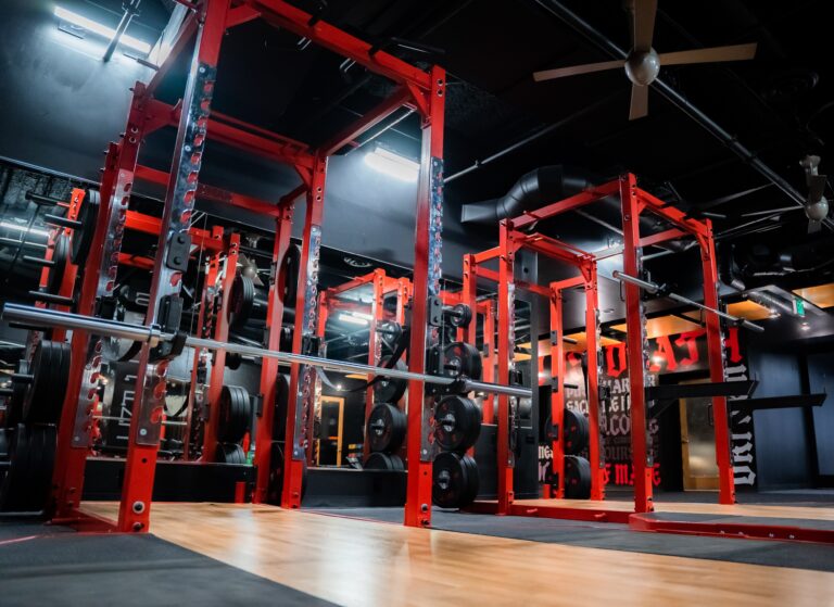 SMTF gym 3 under2mb 768x559