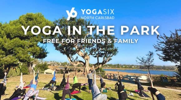 FREE Yoga in the Park