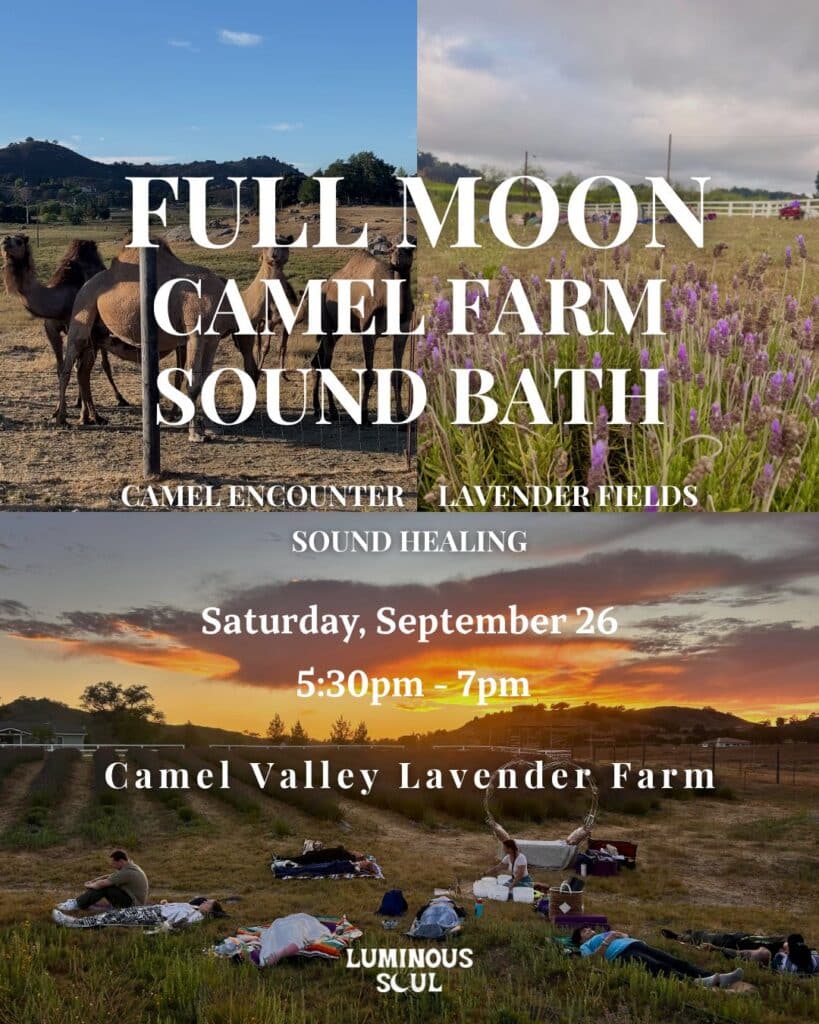 Camel Farm Full Moon Sound Bath