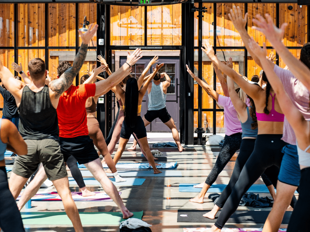 encinitas wellness festival