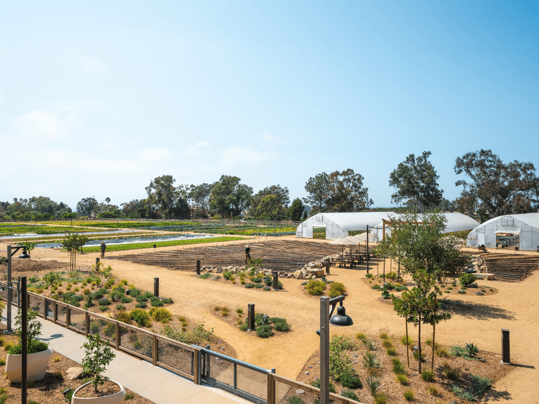 fox point farms encinitas