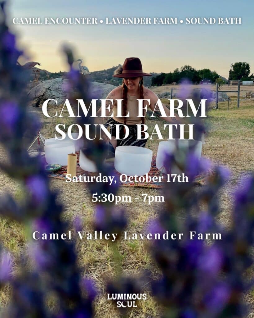 Camel Farm Sound Bath