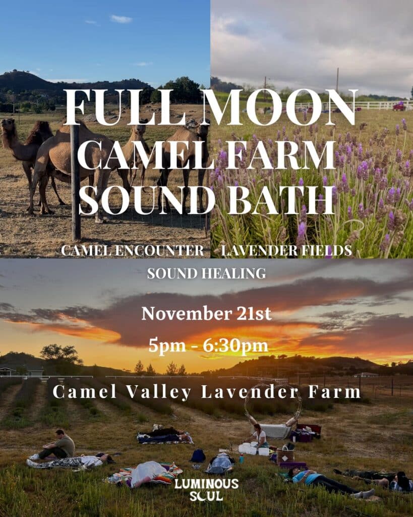 Camel Farm Full Moon Sound Bath