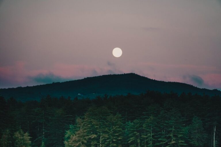 full moon experience 768x512
